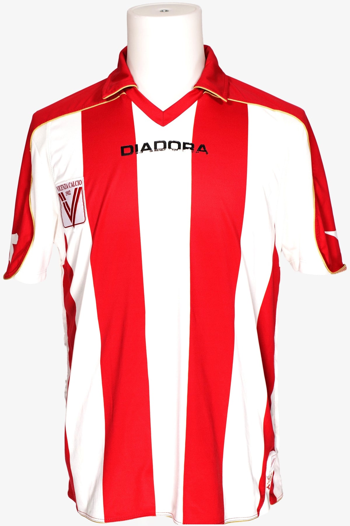 VICENZA 2008/09 - HOME