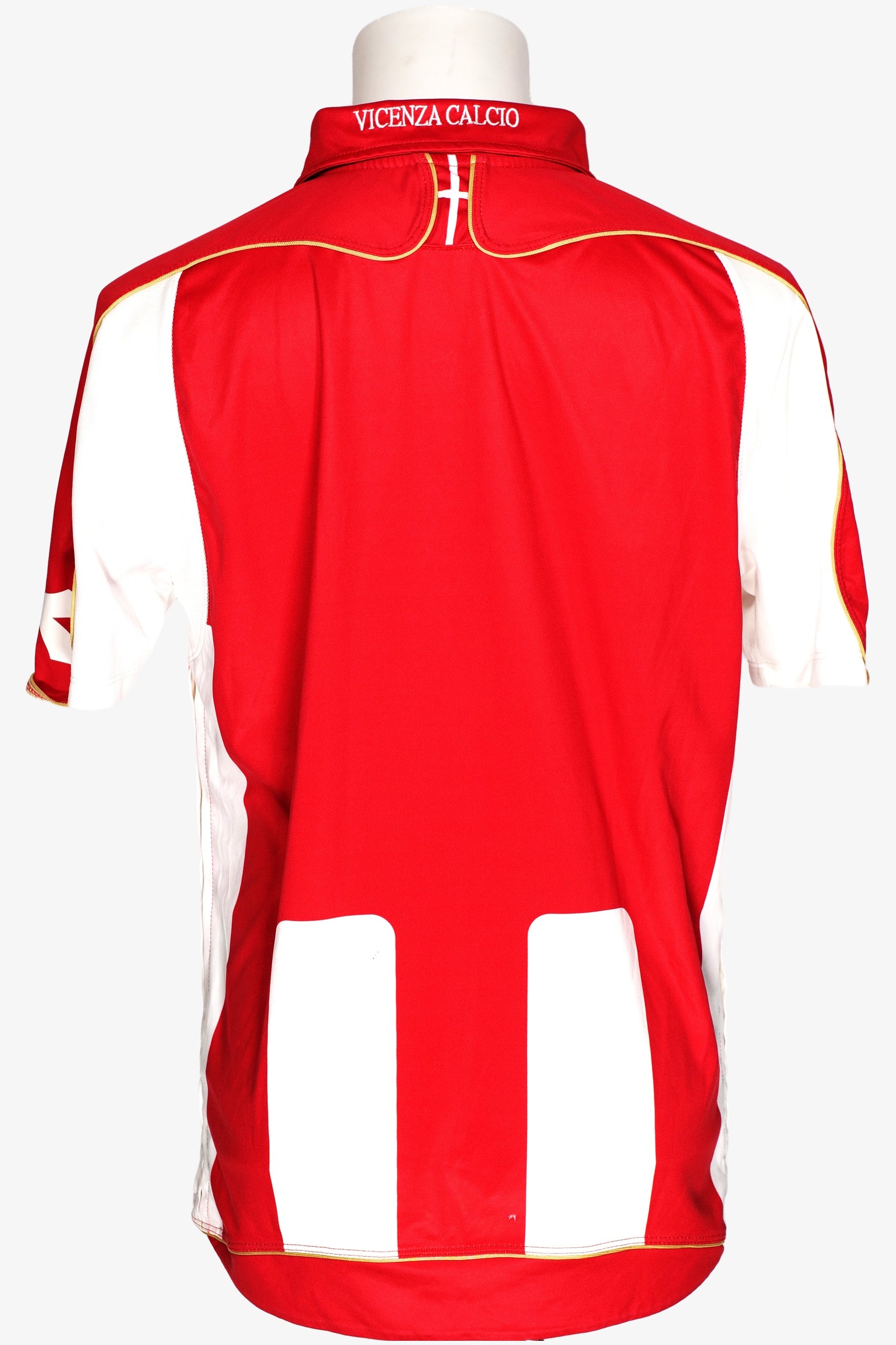 VICENZA 2008/09 - HOME