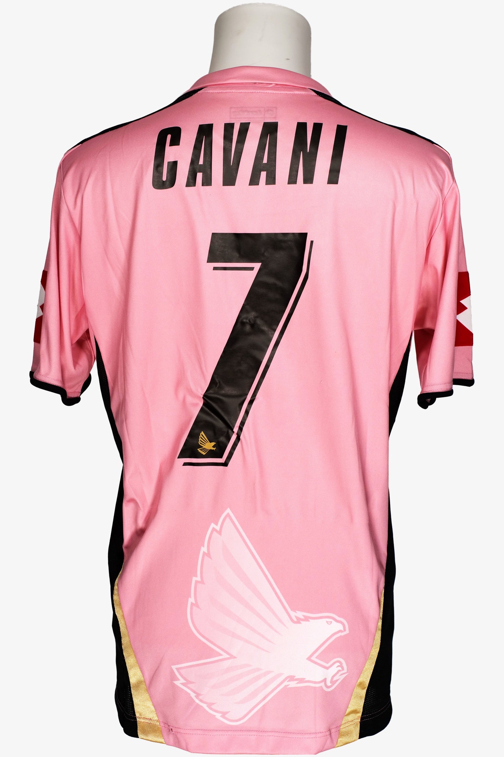 PALERMO 2007/08 - CAVANI - HOME