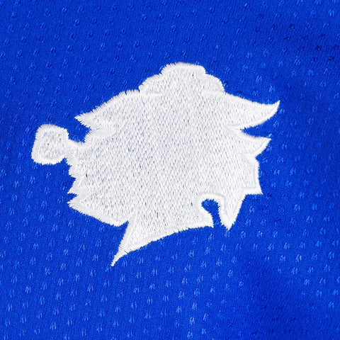 SAMPDORIA 1997/98 - HOME - PALMIERI - XXL