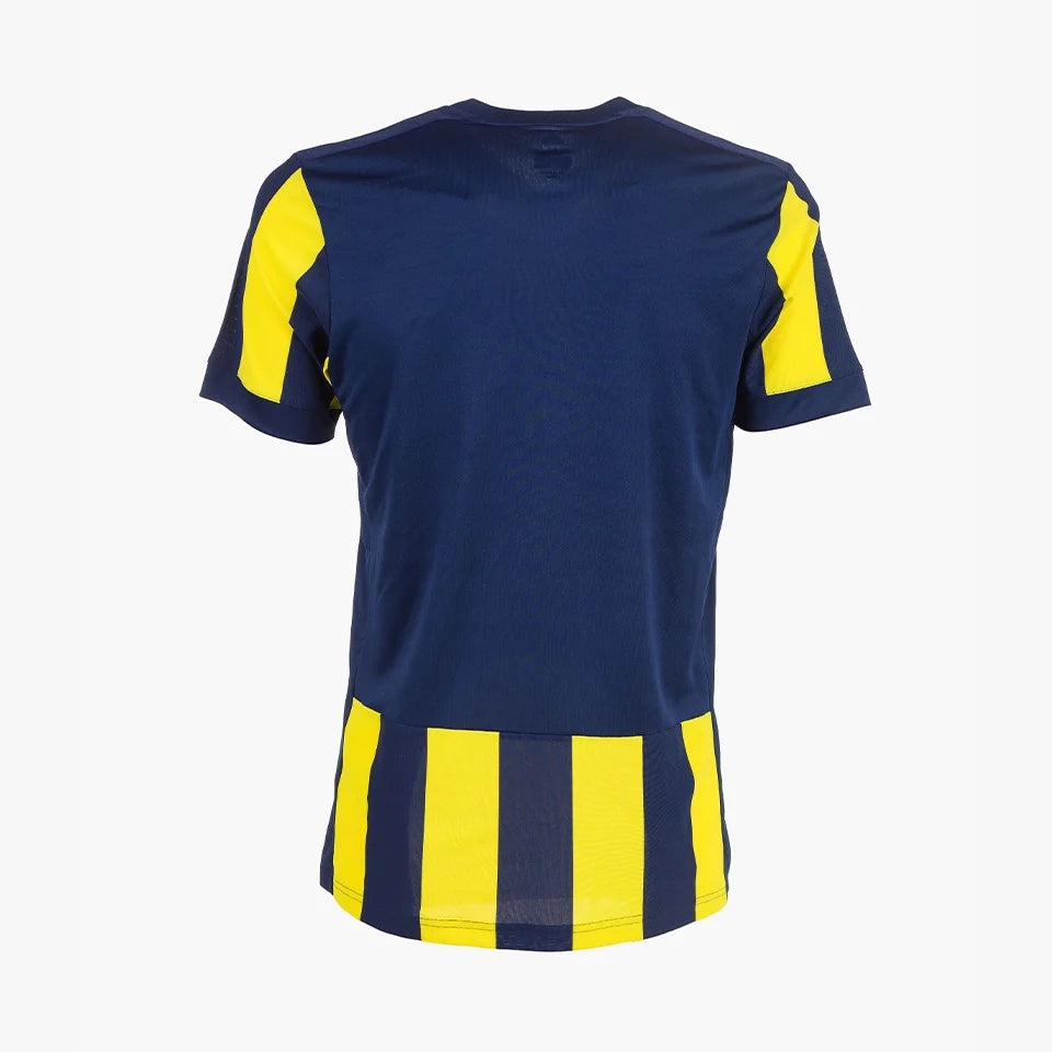 FENERBAHCE 2014/15 - HOME
