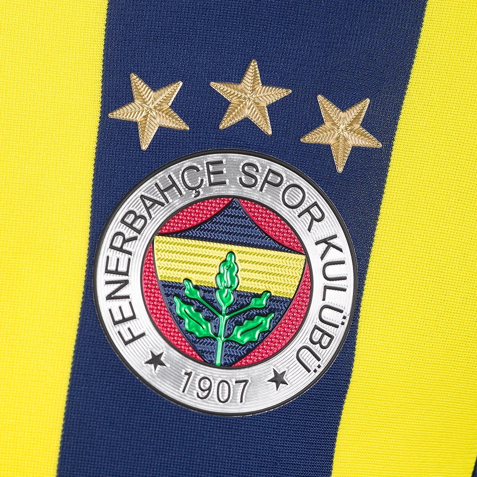 FENERBAHCE 2014/15 - HOME