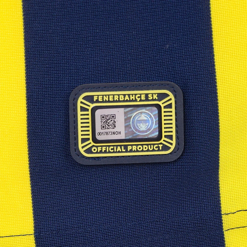 FENERBAHCE 2014/15 - HOME