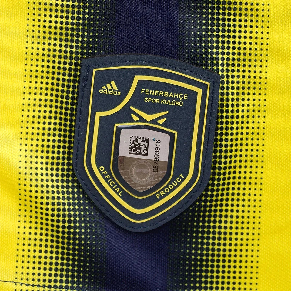 FENERBAHCE 2013/14 - HOME